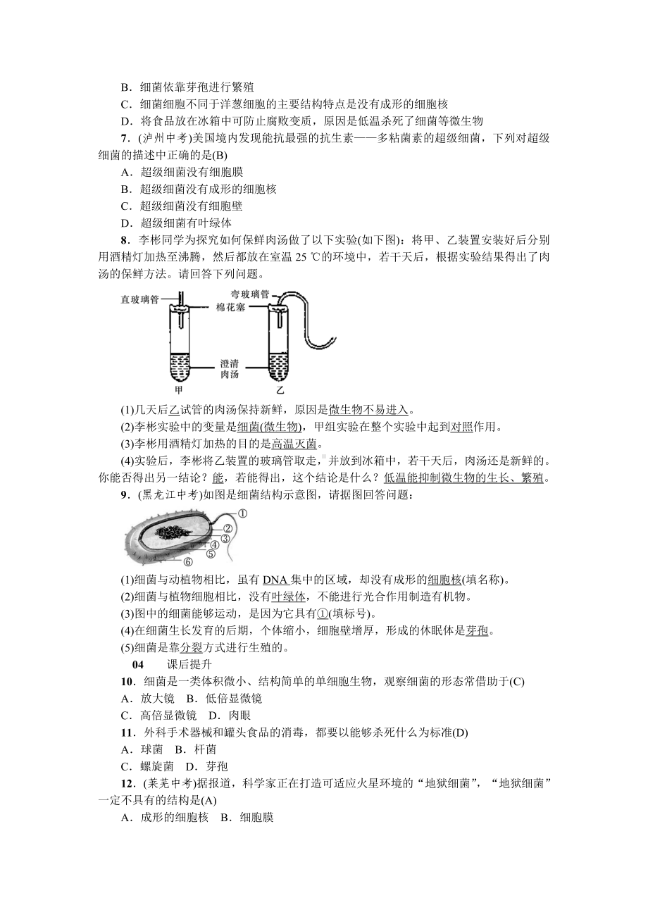 人教八年级生物上册第四章细菌和真菌2第二节细菌.doc_第3页