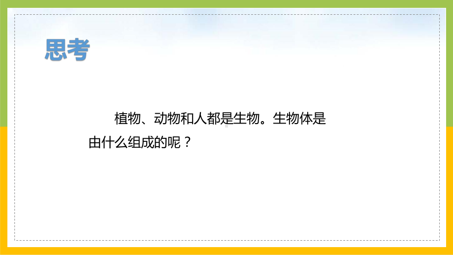 大象版六年级上册科学1-1《显微镜下的细胞》课件.pptx_第2页