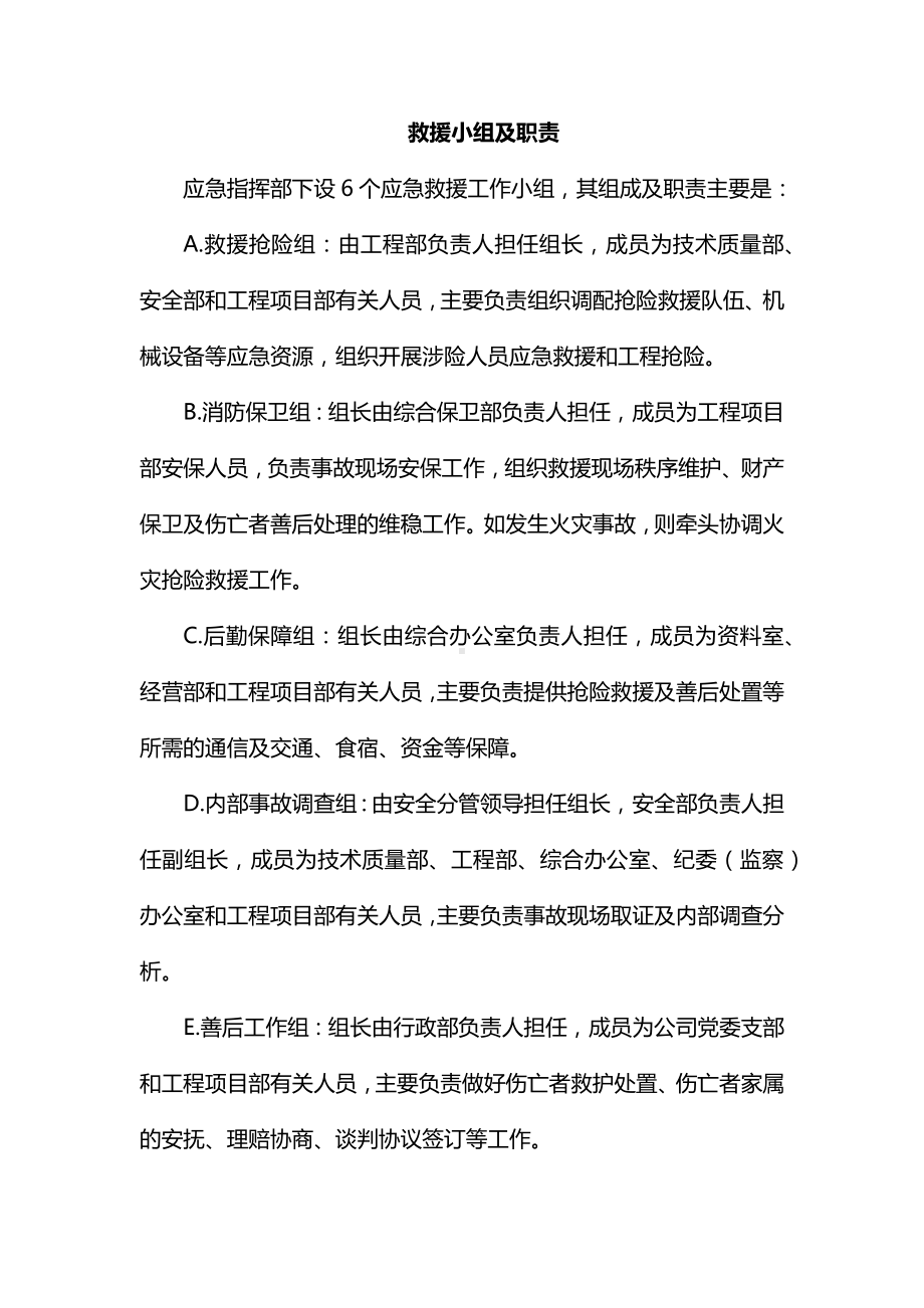 救援小组及职责.docx_第1页