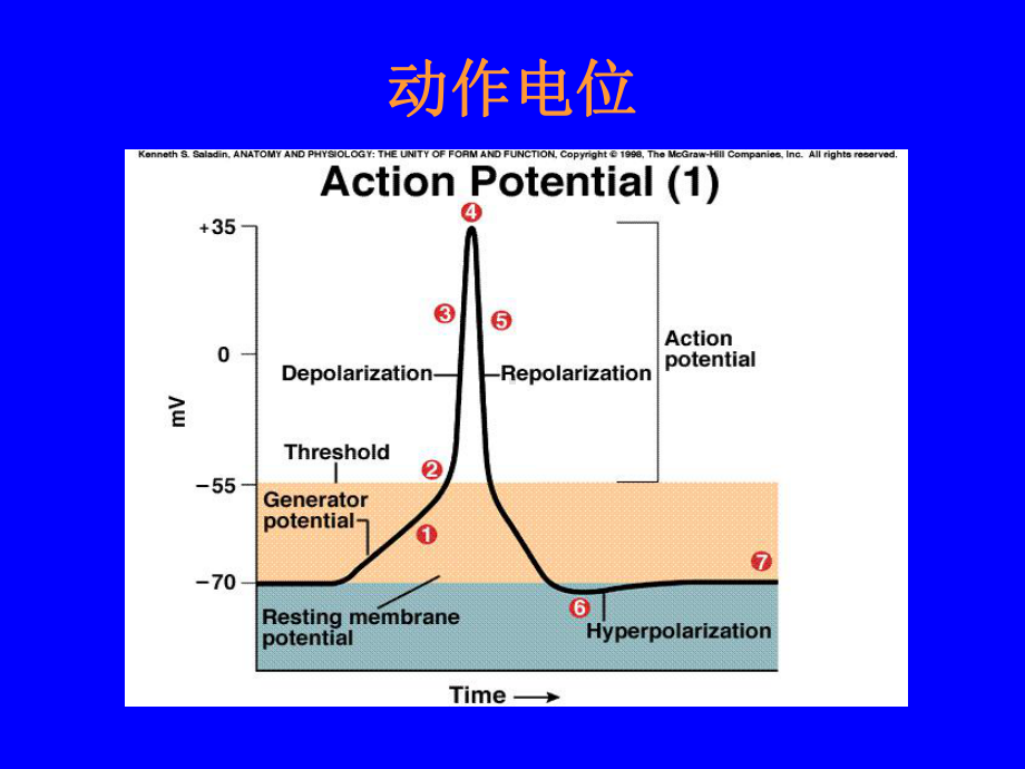 抗惊中药药理全课件.pptx_第3页