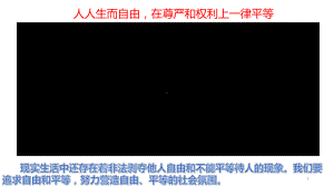 人教部编版八级道德与法治下册自由平等的追求课件.pptx