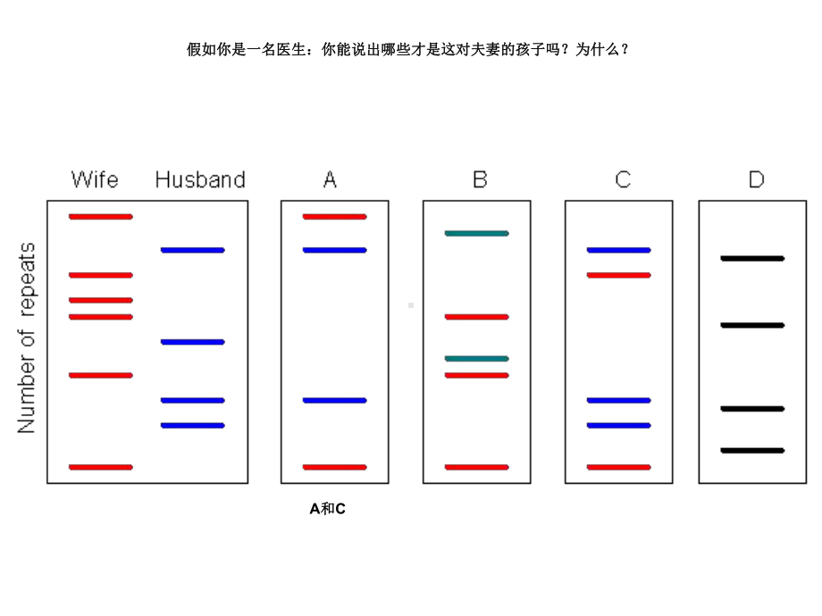 人教版高中生物必修一第二章第3节《遗传信息的携带者-核酸》优秀课件.ppt_第2页