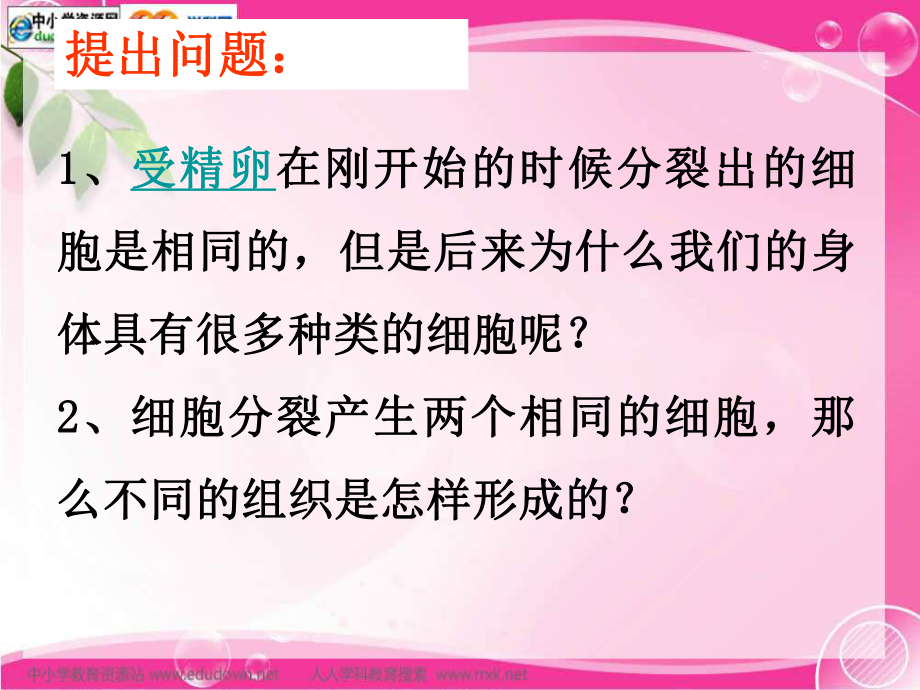 人教版生物七上第一节《动物体的结构层次》课件.pptx_第3页