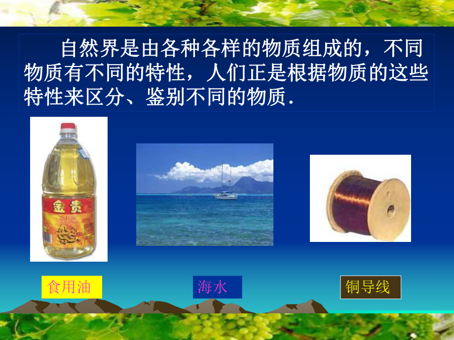 九年级物理密度的的讲义课件.ppt_第2页