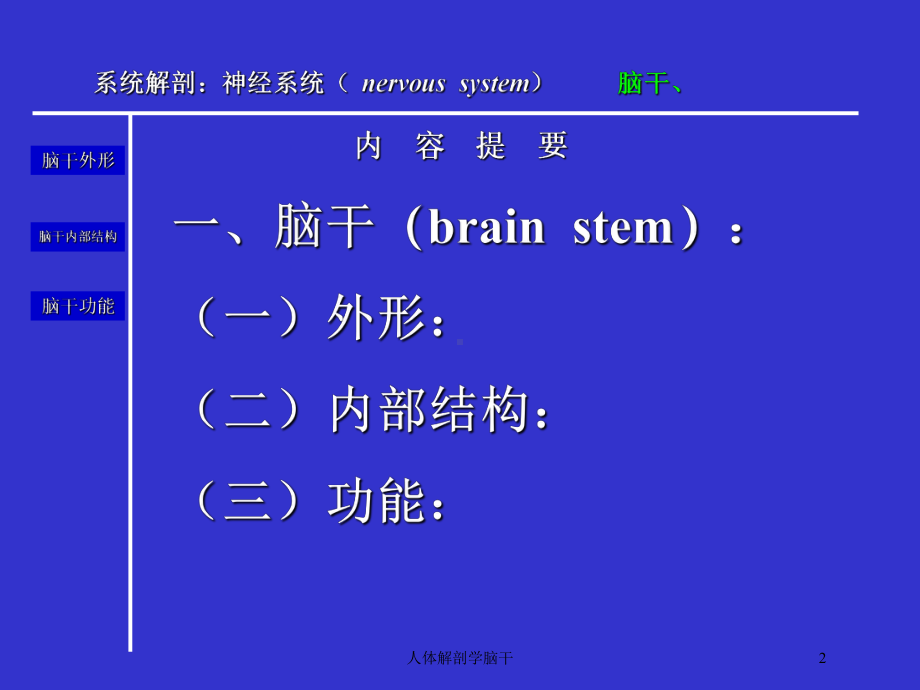 人体解剖学脑干培训课件.ppt_第2页