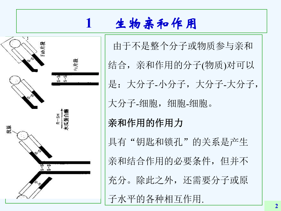 亲和分离技术课件.ppt_第2页