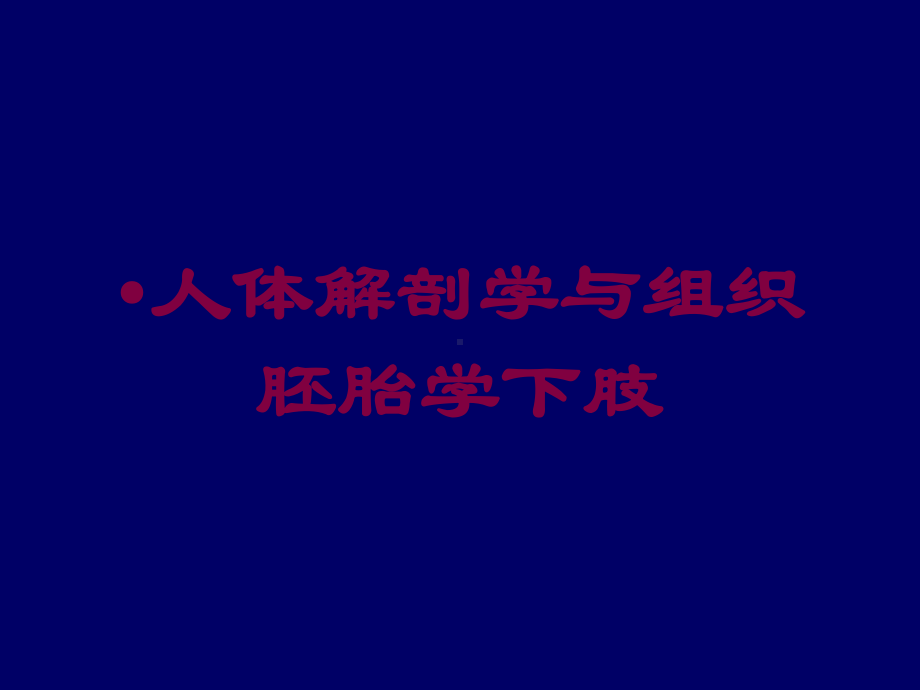 人体解剖学与组织胚胎学下肢培训课件.ppt_第1页