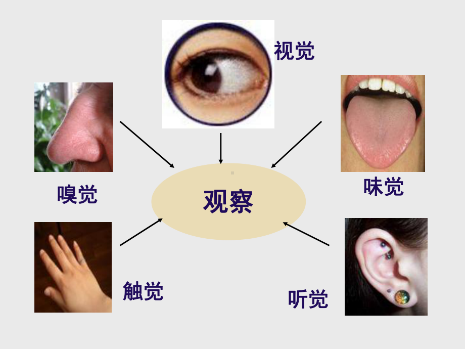 人教版七年级下册生物第六章第一节人体对外界环境的感知课件.ppt_第3页