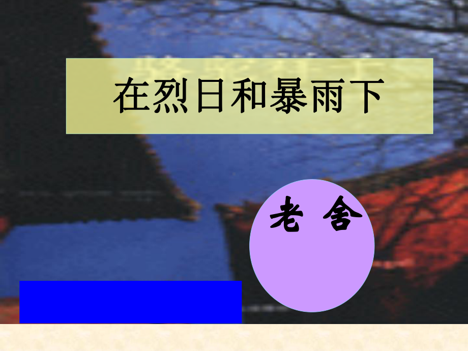 九年级《在烈日和暴雨下》课件.ppt_第1页