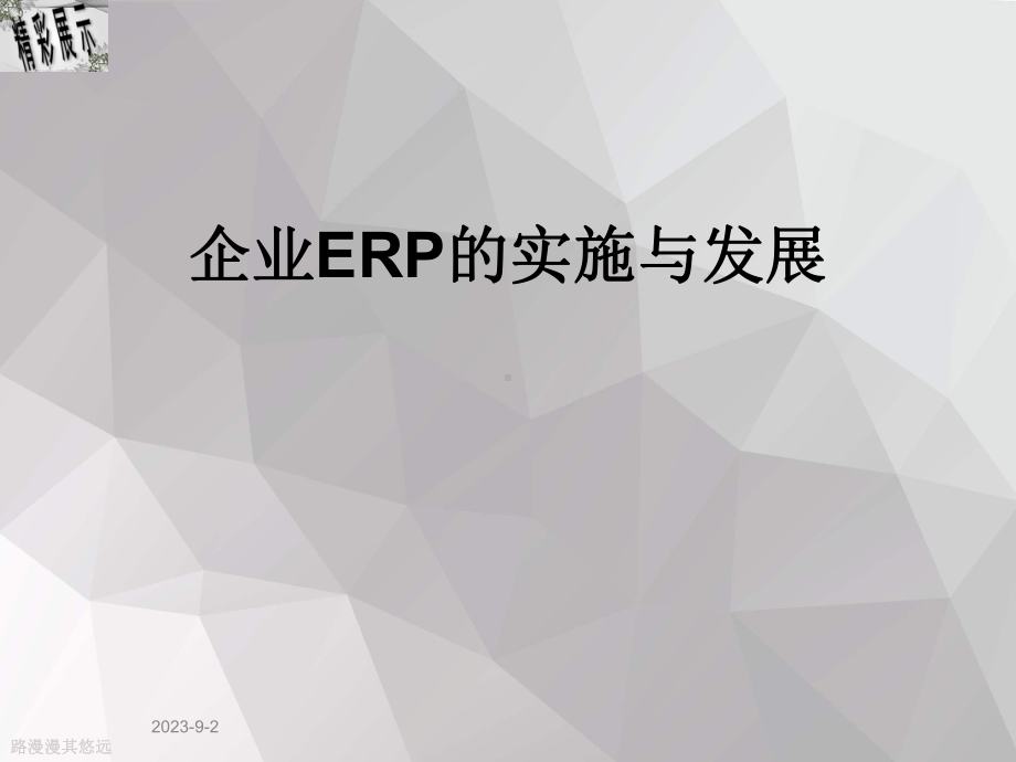 企业ERP的实施与发展课件.ppt_第1页