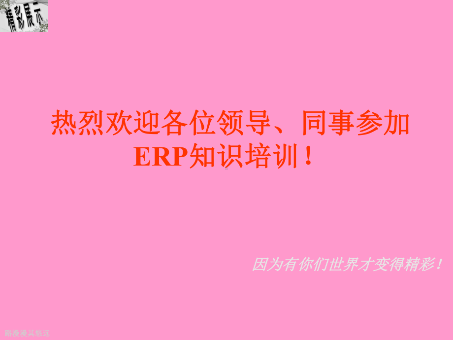 企业ERP的实施与发展课件.ppt_第2页