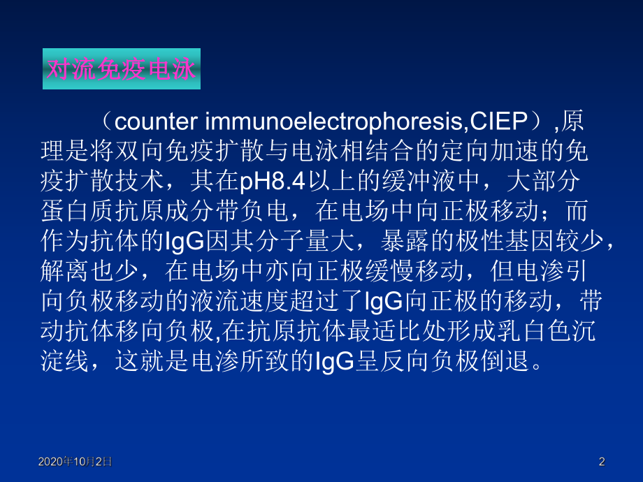 免疫学检验-免疫电泳技术课件下载课件.ppt_第2页