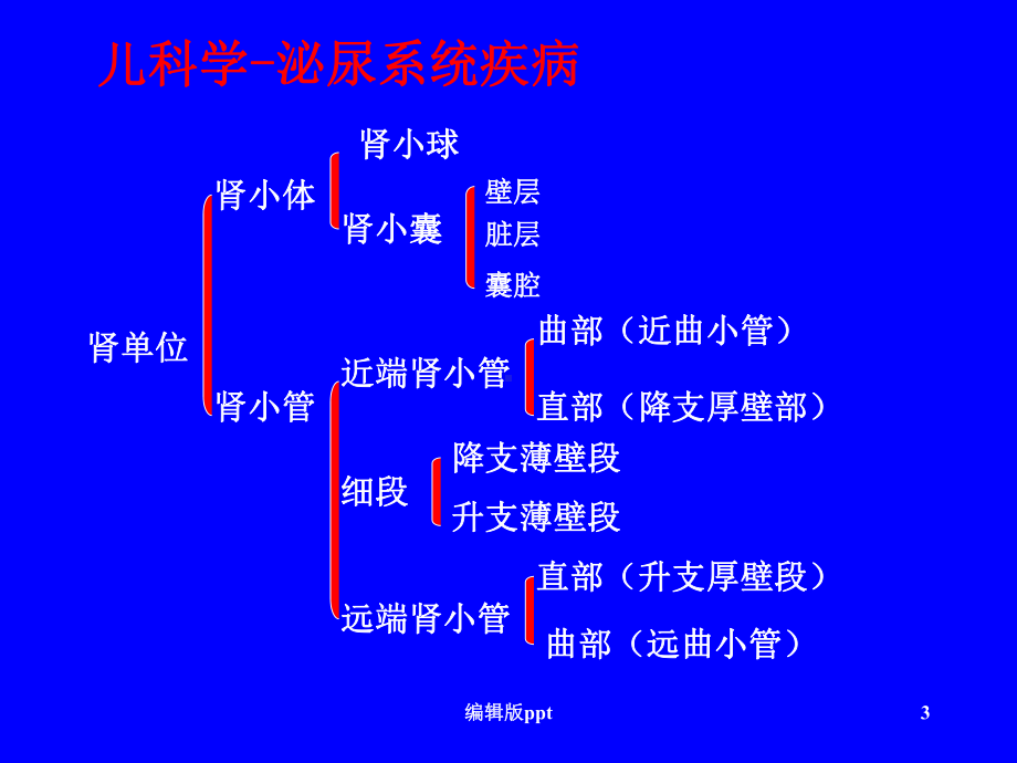 儿科学-泌尿系统疾病课件.ppt_第3页