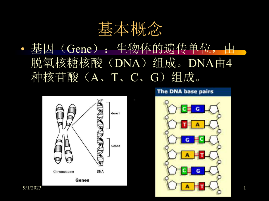 人类后基因组时代教学课件.ppt_第1页