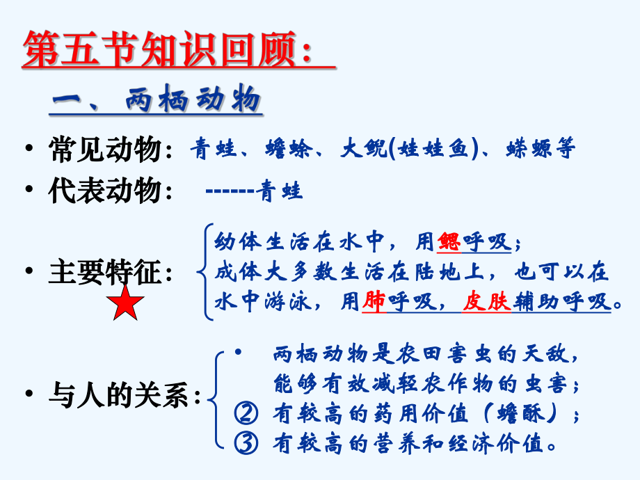 八年级生物上册-516《鸟》2-(新版)新人教版课件.ppt_第2页