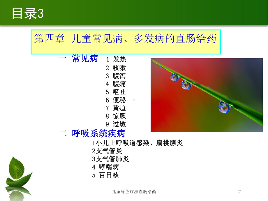 儿童绿色疗法直肠给药培训课件.ppt_第2页