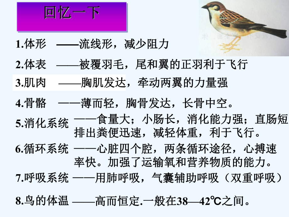 八年级生物上册-516-鸟(第2课时)-(新版)新人教版课件.ppt_第1页