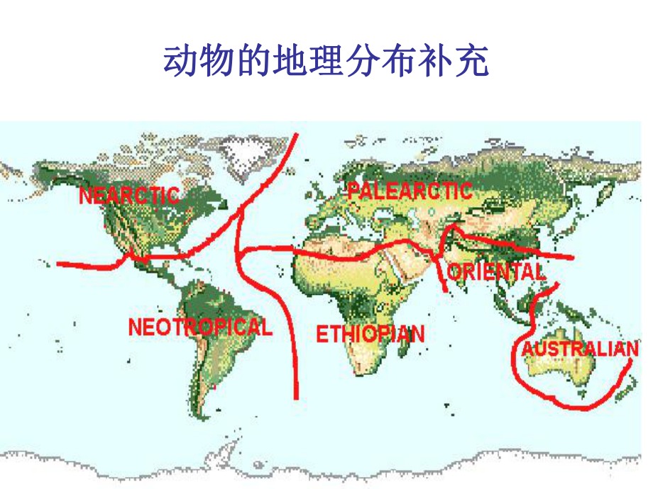 动物的地理分布补充-课件.ppt_第3页