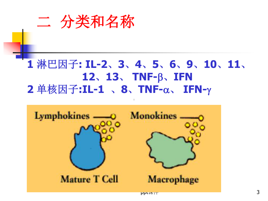 医学免疫学-细胞因子-课件.ppt_第3页