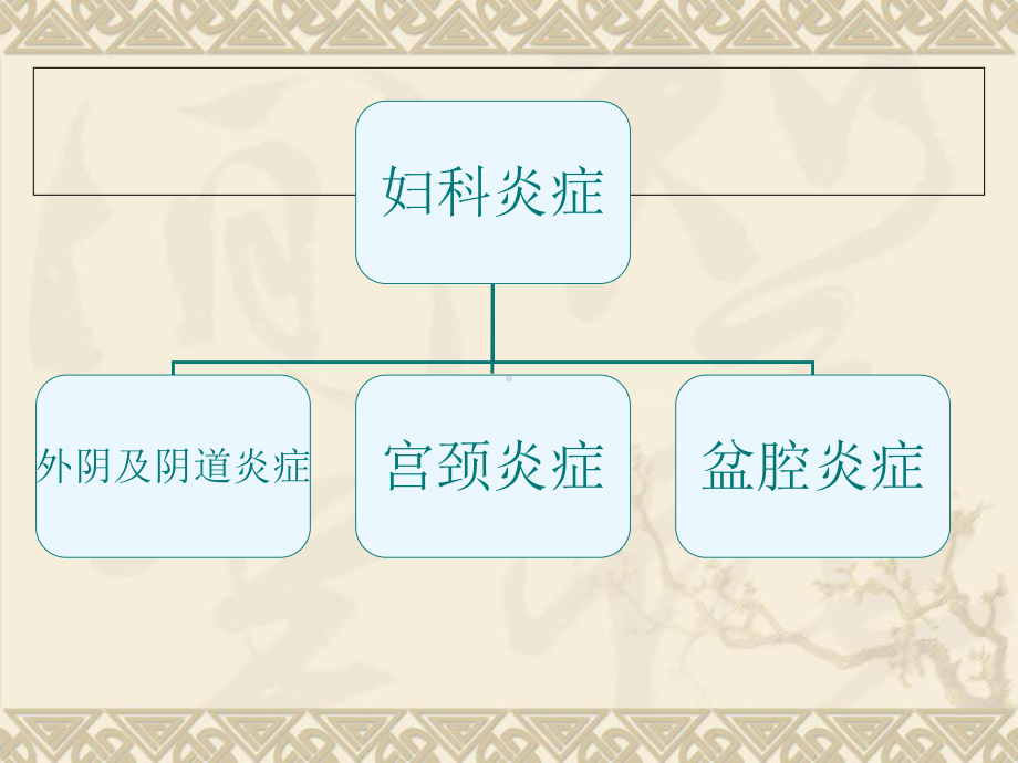 妇科炎症教学课件.ppt_第2页