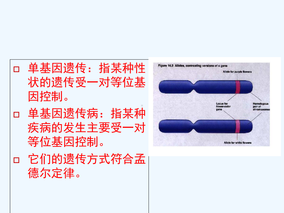 单基因遗与单基因遗传病课件.ppt_第3页