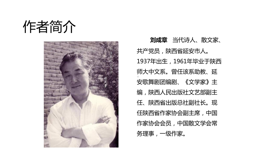 六年级上册语文课件-14安塞腰鼓∣苏教版.ppt_第3页