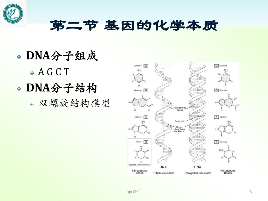 医学遗传学-人类基因-效应-课件.ppt_第3页