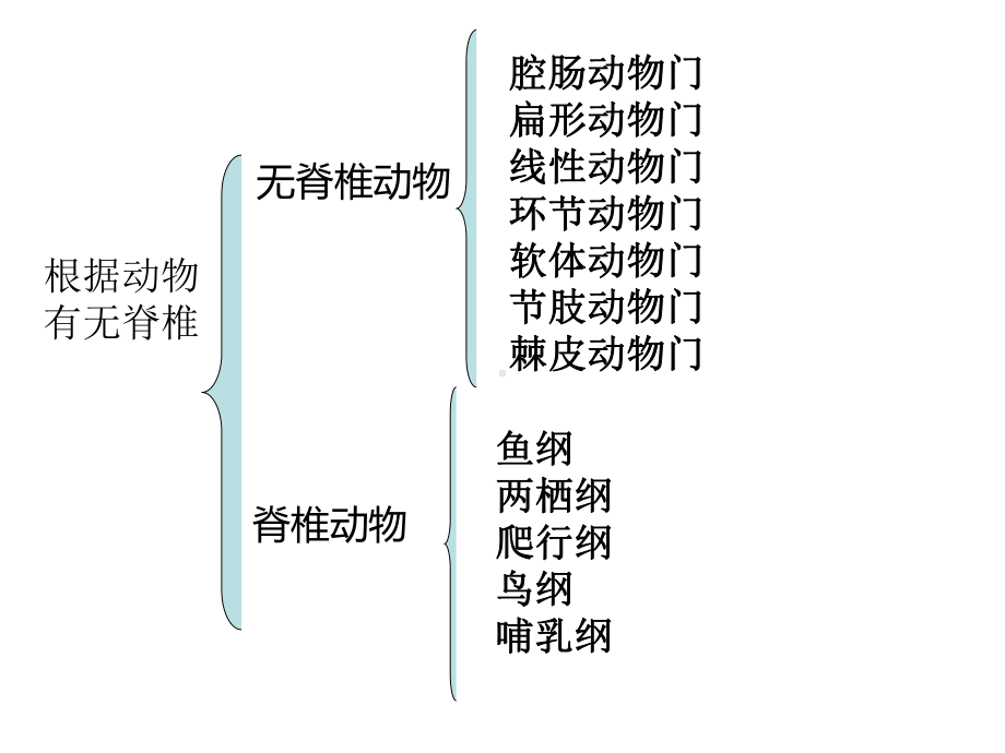 北师大版八年级生物上册期中总复习课专用课件.ppt_第2页