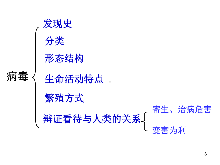 初中生物人教版新教材五单元五章病毒课件.ppt_第3页