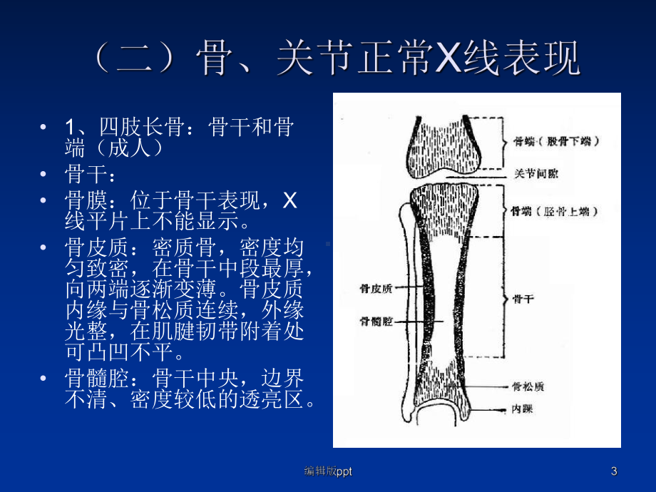 关节系统课件.ppt_第3页