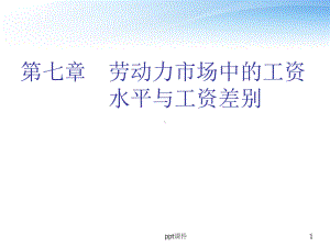 劳动力市场的工资水平与工资差别-课件.ppt