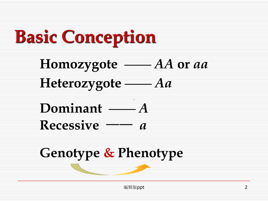 单基因遗传病课件-002.ppt_第2页