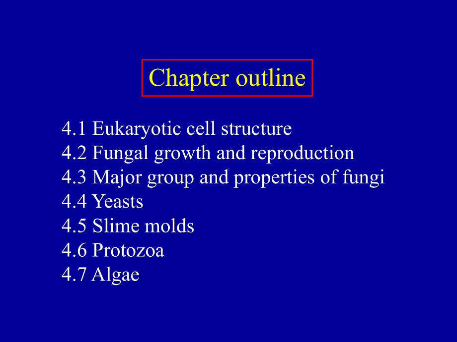 华中科技大双语微生物4课件.ppt_第2页