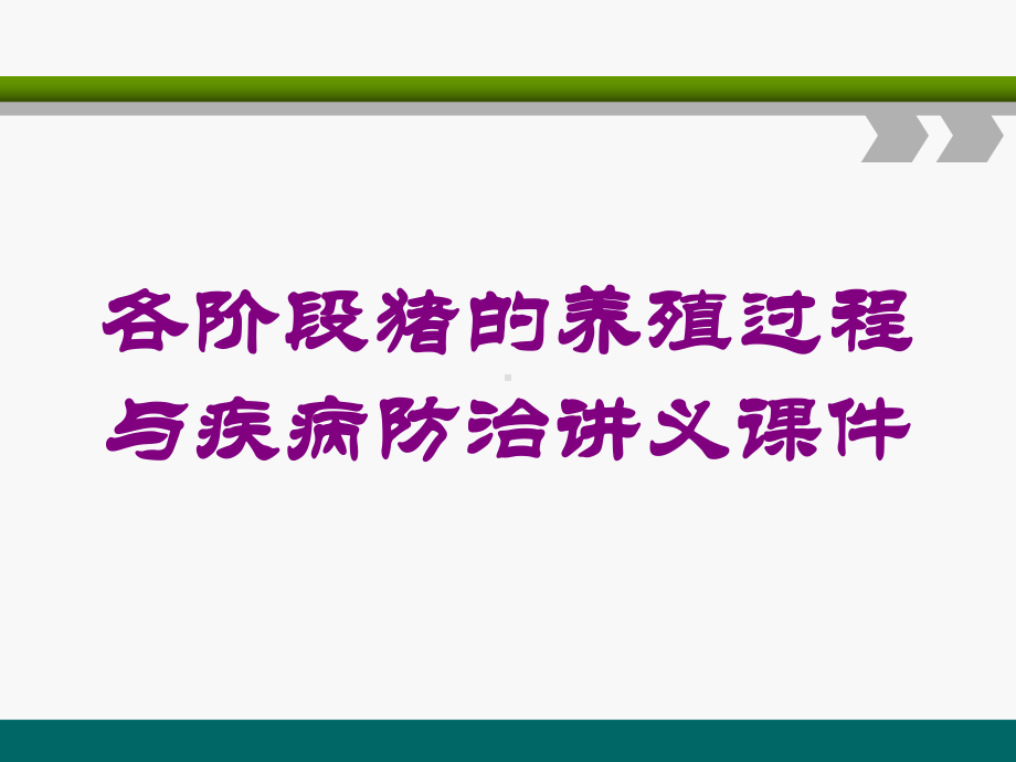 各阶段猪的养殖过程与疾病防治讲义课件培训课件.ppt_第1页