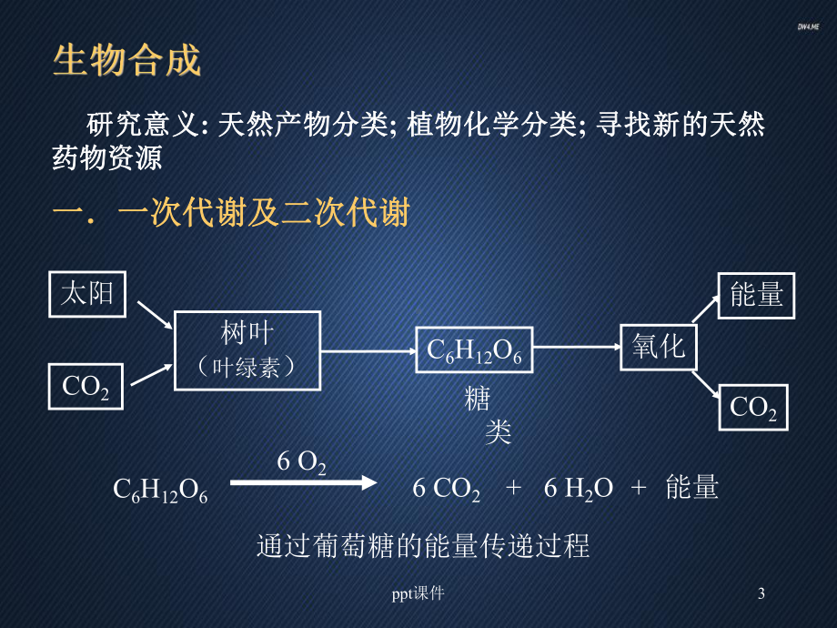 天然药物化学-苯丙素类-课件.ppt_第3页