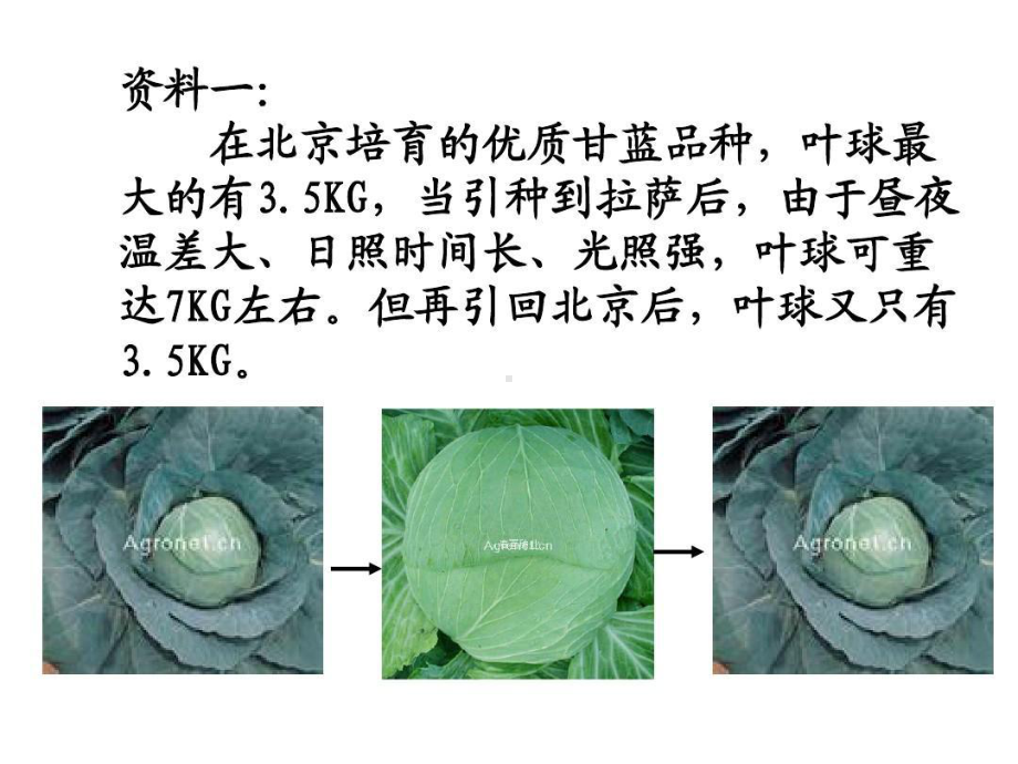 高中生物基因突变和基因重组最全最新.ppt_第2页