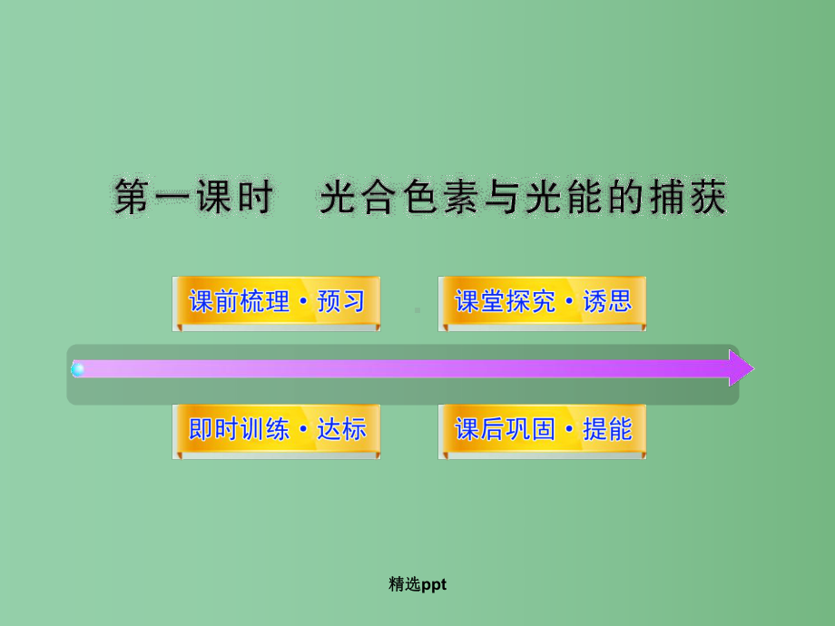 高中生物-421《光合色素与光能的捕获》同步课件-苏教版必修1.ppt_第1页