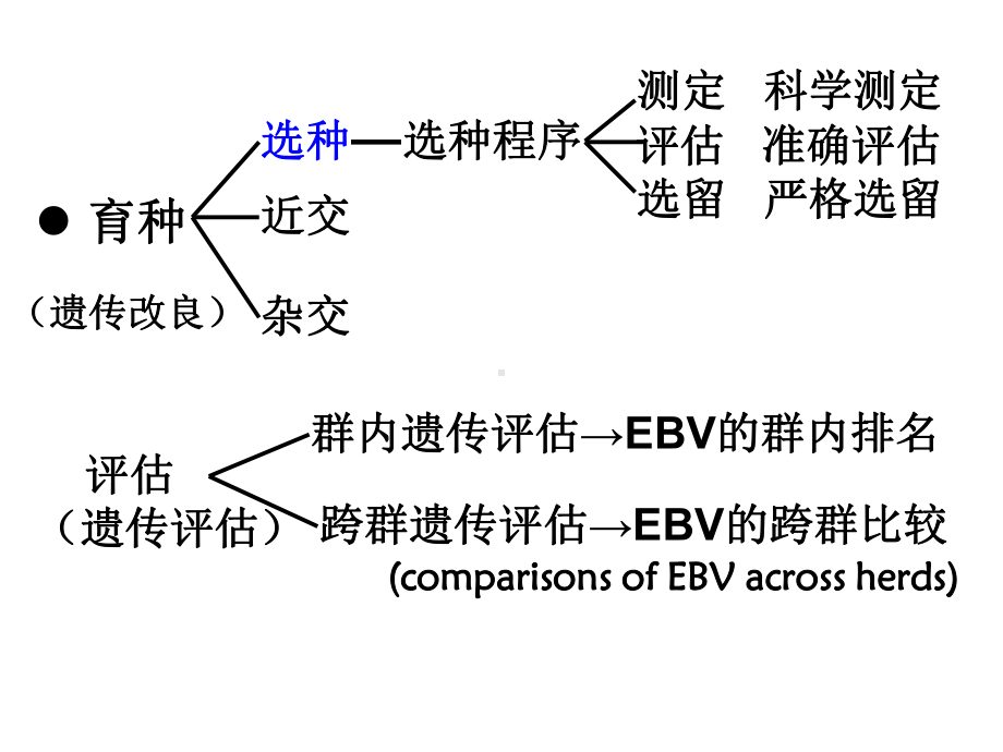 大型猪人工授精中心与育种值跨群比较课件.ppt_第3页