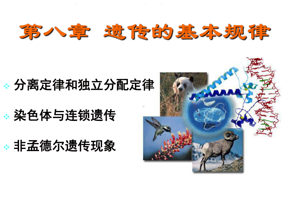 大学生物学课件8.ppt_第1页