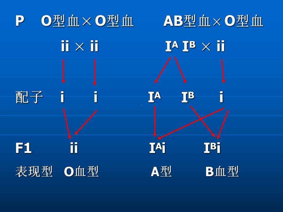 奥赛1复等位基因2基因之间的相互作用3连锁交换遗传定律教学课件.ppt_第3页