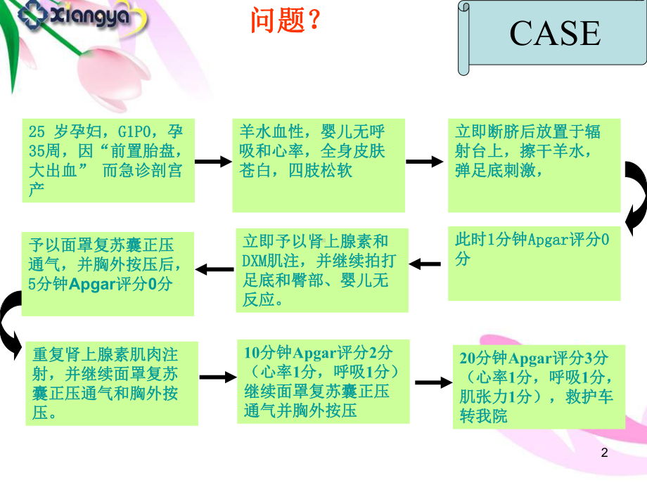 新生儿窒息复苏全-课件.ppt_第2页