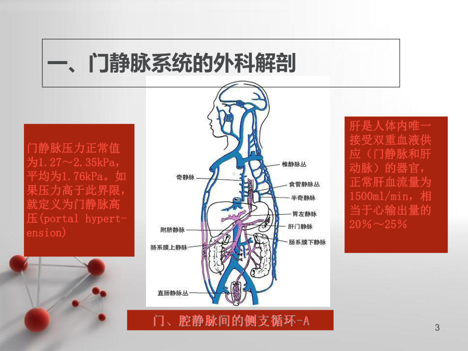 《外科学》门静脉高压症-课件.ppt_第3页