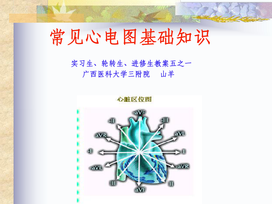 常见心电图诊断基础-实习生进修生教案之一课件.ppt_第1页