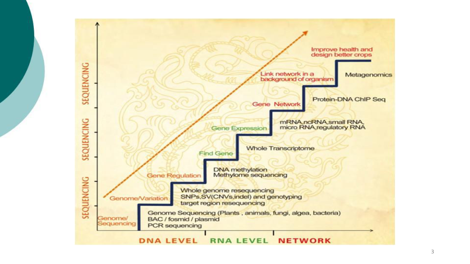 常用生物数据库及数据格式课件.ppt_第3页