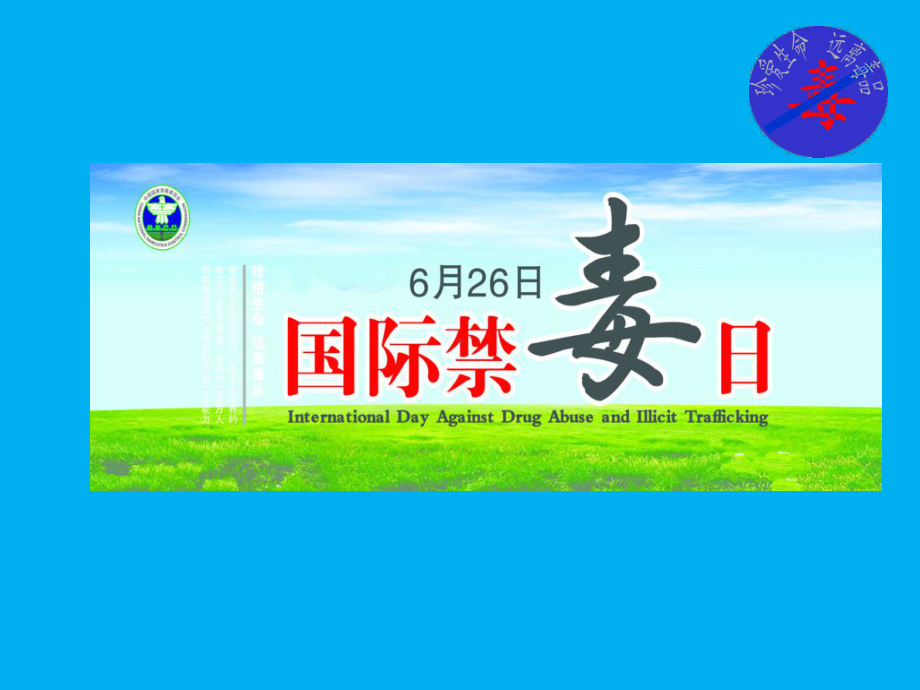 小学生禁毒教育课件教学-课件.ppt_第3页