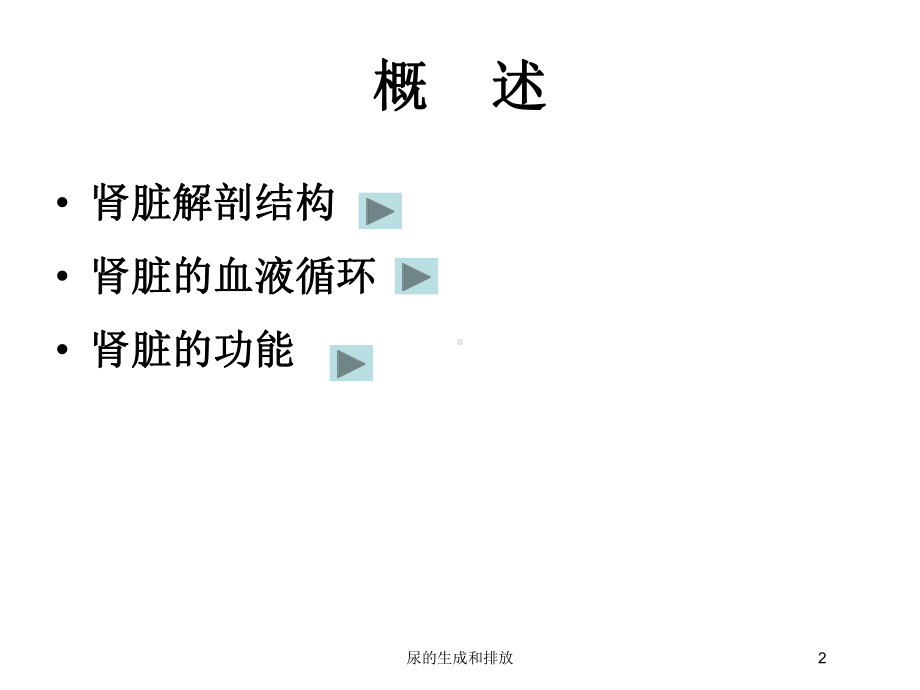 尿的生成和排放培训课件.ppt_第2页