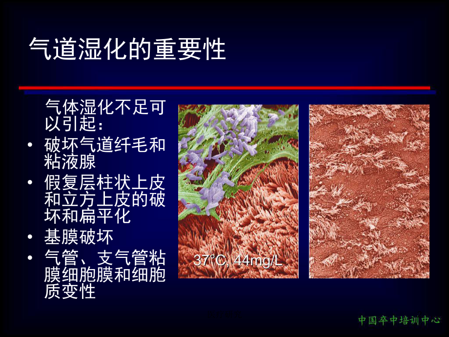 气道湿化[医药特制].ppt_第2页