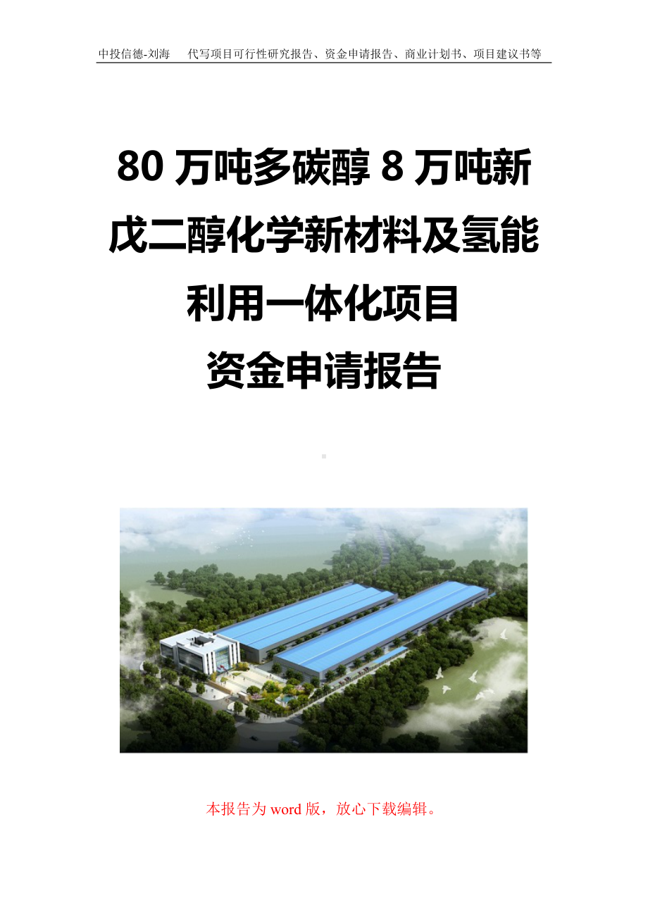 80万吨多碳醇8万吨新戊二醇化学新材料及氢能利用一体化项目资金申请报告写作模板定制.doc_第1页