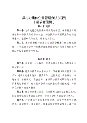 村办集体企业管理办法.docx