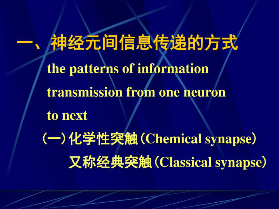 神经元间的信息传递.ppt_第2页